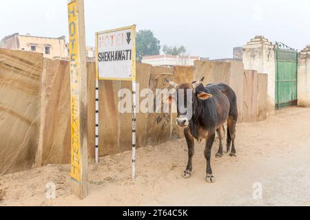 Strassenszene, Mandawa, Rajasthan, Indien Stockfoto