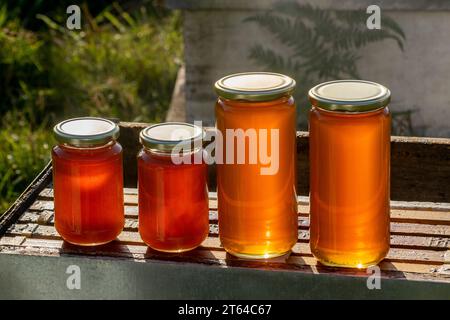 Vier Gläser Bio-Honig, zwei große und zwei kleine, auf einem Bienenstock unter dem Licht eines Herbstuntergangs Stockfoto