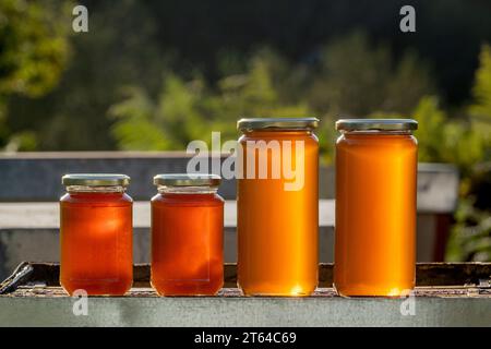 Vier Gläser Bio-Honig, zwei große und zwei kleine, auf einem Bienenstock unter dem Licht eines Herbstuntergangs Stockfoto