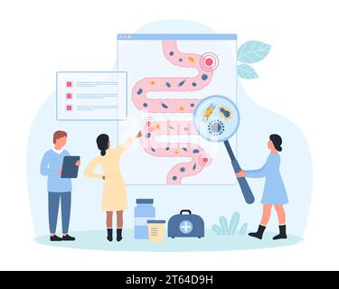 Darmmikrobiom Forschung, gastrointestinale Gesundheit Vektor Illustration. Zeichentrickfilm kleine Menschen mit Vergrößerungsglas überprüfen gute und schlechte Bakterien, Mikrobiota auf der Infografik der Anatomie des menschlichen Darms Stock Vektor