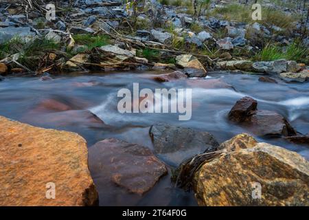 Wasser fließt auf Felsen in einem Knarren mit grüner Kulisse und felsigem Vordergrund Stockfoto