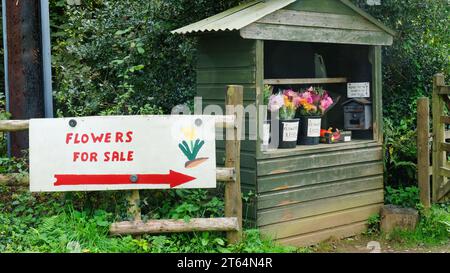 Straßenstand mit Schnittblumen - John Gollop Stockfoto