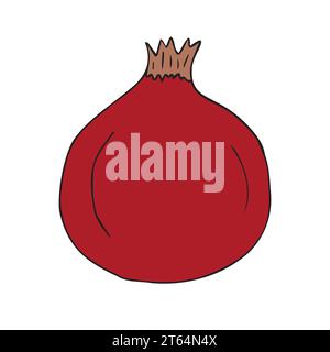 Vektor Hand gezeichnet farbigen Granatapfel Stock Vektor