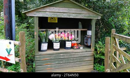 Straßenstand mit Schnittblumen - John Gollop Stockfoto
