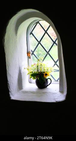 Ein Krug hält Blumen in einem alten mittelalterlichen Fenster - John Gollop Stockfoto