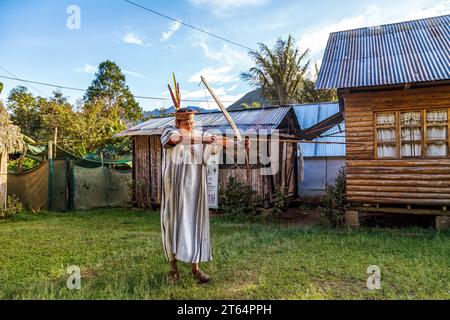 28. Oktober 2019, Peru. Peruanischer Dschungel in der Naturheilkunde, aus der Gemeinde Yaneshas, Oxapampa. Stockfoto