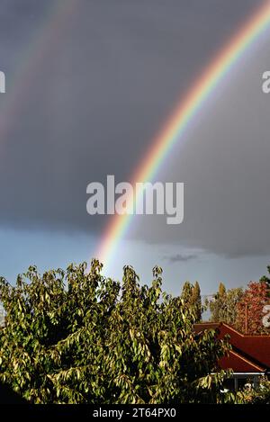 Regenbogen bildet sich vor einem grauen Himmel mit Baumkronen im Vordergrund Stockfoto