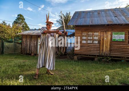 28. Oktober 2019, Peru. Peruanischer Dschungel in der Naturheilkunde, aus der Gemeinde Yaneshas, Oxapampa. Stockfoto