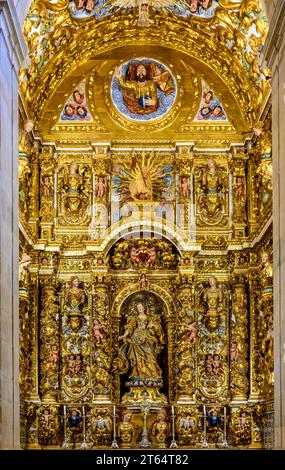 Goldaltar in einer historischen Barockkirche in Pelourinho in Salvador, Bahia, Brasilien Stockfoto