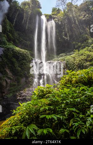 Der Sekumpul-Wasserfall, ein großer Wasserfall mitten im Dschungel, der in eine tiefe grüne Schlucht eintaucht. Bäume und tropische Pflanzen bei Bali's Stockfoto