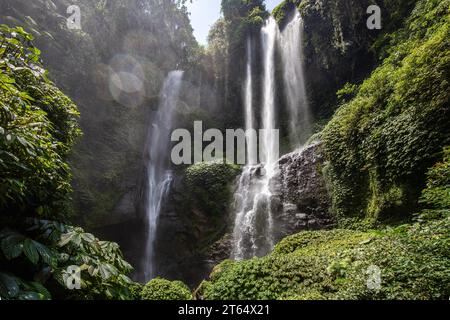 Der Sekumpul-Wasserfall, ein großer Wasserfall mitten im Dschungel, der in eine tiefe grüne Schlucht eintaucht. Bäume und tropische Pflanzen bei Bali's Stockfoto