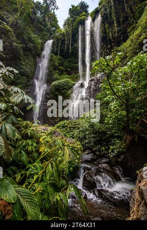 Der Sekumpul-Wasserfall, ein großer Wasserfall mitten im Dschungel, der in eine tiefe grüne Schlucht eintaucht. Bäume und tropische Pflanzen bei Bali's Stockfoto