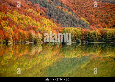 Wunderschöner Buchenwald im Herbst, der sich im Wasser eines Sees in der Selva de Irati, Navarra, Spanien in perfekter Symmetrie spiegelt Stockfoto