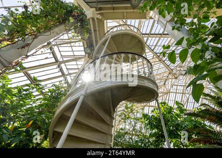 Gusseiserne Wendeltreppe, gemäßigtes Haus, größtes viktorianisches Gewächshaus der Welt, Royal Botanic Gardens (Kew Gardens), UNESCO-Weltkulturerbe Stockfoto