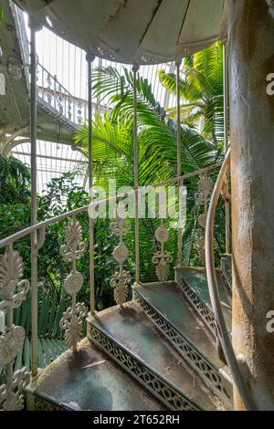 Gusseiserne Wendeltreppe, Palm House, ältestes viktorianisches Gewächshaus der Welt, Royal Botanic Gardens, Kew, London, England, Großbritannien Stockfoto