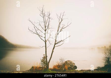 Herbstlandschaft mit Nebel, Slowenien Stockfoto