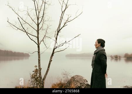 Herbstlandschaft mit Nebel, Slowenien II Stockfoto