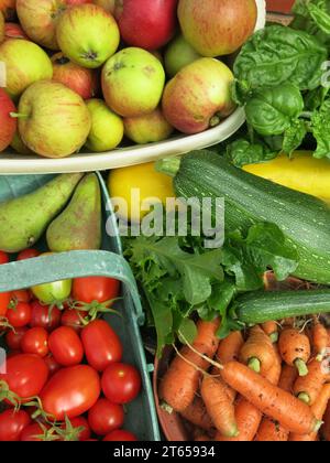 Eine farbenfrohe Auswahl an frischem Obst und Gemüse aus einem englischen Garten im Herbst 2023: Äpfel, Karotten, Tomaten, Birnen, Basilikum und Zucchini. Stockfoto