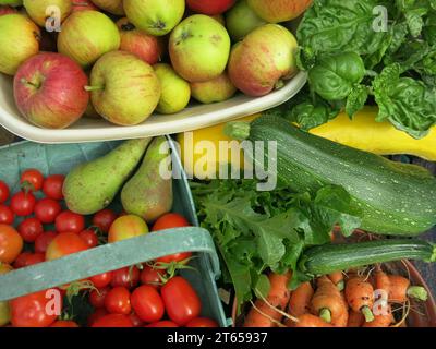 Eine farbenfrohe Auswahl an frischem Obst und Gemüse aus einem englischen Garten im Herbst 2023: Äpfel, Karotten, Tomaten, Birnen, Basilikum und Zucchini. Stockfoto