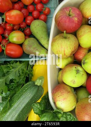 Eine farbenfrohe Auswahl an frischem Obst und Gemüse aus einem englischen Garten im Herbst 2023: Äpfel, Karotten, Tomaten, Birnen, Basilikum und Zucchini. Stockfoto