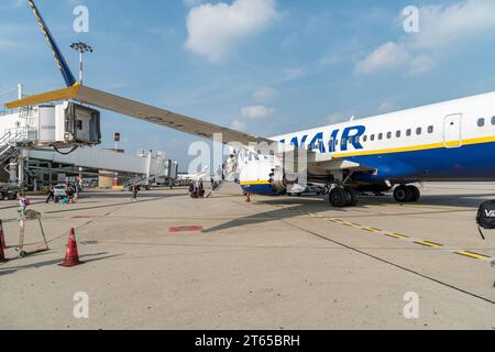 Ferno, Mailand-Malpensa, Italien - 3. Oktober 2023: Fluggäste der Billigfluggesellschaft Ryanair auf dem Flughafen Mailand-Malpensa Te Stockfoto