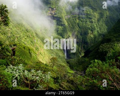 Trou de Fer, ein wunderschöner Wasserfall inmitten eines Primärwaldes auf der Insel Réunion. Eisenloch, malerische Kaskade im Berg La Réunion Stockfoto