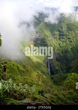 Trou de Fer, ein schöner Wasserfall im primären Regenwald von Réunion. Maskarenes tropische Kaskade im üppigen Dschungel und den Bergen in Bebour Stockfoto