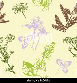 Klee, Kamille, Salbei, handgezeichnet. Vektorillustration des nahtlosen Musters mit Kräutern. Geschenkpapier, Textil, Grußkarten, Etiketten, Umschläge. Stock Vektor