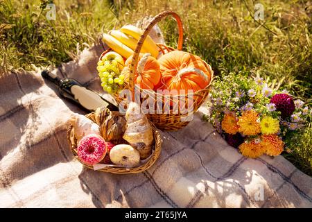 Picknick in der Natur. Ein Korb mit Kürbissen, Eicheln, Bananen und Äpfeln liegt auf einem Karo in einer Zelle, daneben befindet sich ein Korb mit Süßigkeiten wie Croissants Stockfoto