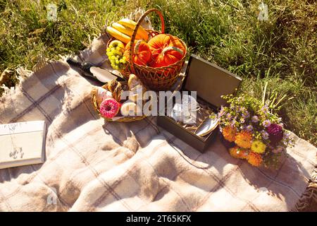 Picknick in der Natur. Ein Korb mit Kürbissen, Trauben, Bananen und Äpfeln liegt auf einem Karo in einer Zelle, daneben befindet sich ein Korb mit Süßigkeiten wie Croissants Stockfoto