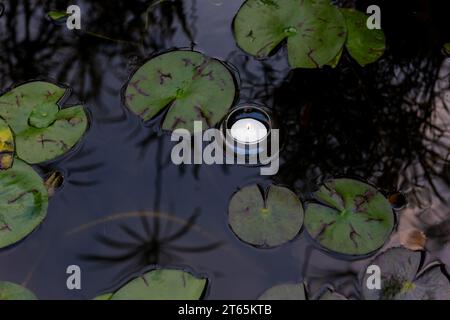 Eine brennende Kerze in einem Glasbehälter schwimmt in einem Teich, umgeben von nassen, grünen Lilienpads. Stockfoto