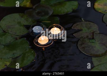 Ein Trio brennender Kerzen in Glasbehältern schweben auf einem Teich, umgeben von nassen, grünen Lilienpads. Stockfoto