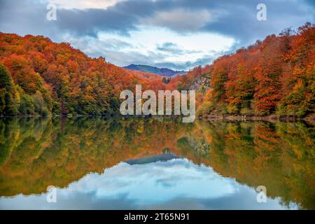 Schöner Buchen- und Tannenwald im Herbst, der sich im Wasser eines Sees in der Selva de Irati, Navarra, Spanien mit blauem Himmel und perfekter Symmetrie spiegelt Stockfoto