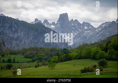 Panoramaaussicht auf Naranjo de Bulnes oder PICU Urriellu, Kalksteingipfel aus der paläozoischen Ära, in der zentralen Region Macizo Picos de Europa, m Stockfoto