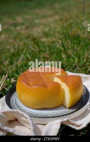 Spanischer geräucherter Hartkäse aus Pria, der von ländlichen Milchbauern in Asturien, Spanien, aus pasteurisierter Kuhmilch oder mit Ziegen- oder Schafsmilch hergestellt wird Stockfoto