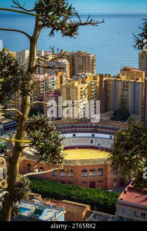 Málaga, Spanien - 27. November 2022: Plaza de Toros la Malagueta - Blick auf den Stierkampfring in Málaga, Spanien mit Trockenpflanzen in der Vorgeschichte Stockfoto