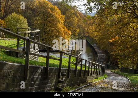 Der Kanalschleppweg an der Seite der Bingley Five Rise Locks in Yorkshire. Die Bäume neben dem Leeds Liverpool Kanal sind in voller Herbstfarbe. Stockfoto