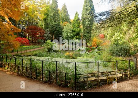 Herbstszene im Parc Cefn onn,/ Cefn onn Country Park, Lisvane, in der Nähe von Cardiff, Wales. Vom November 2023 Stockfoto