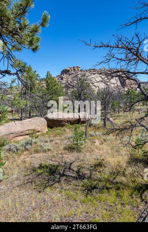 Granitfelsen im Vedauwoo Recreation Area des Medicine Bow National Forest in Wyoming Stockfoto