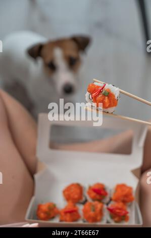 Eine Frau sitzt auf dem Sofa und isst Brötchen. Jack Russell Terrier Hund sitzt auf dem Boden und bittet um Essen von seinem Besitzer. Stockfoto