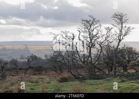 Blick auf den Exmoor-Nationalpark an einem kalten Wintertag mit einem bewölkten, grauen Himmel und Dunst in der Ferne Stockfoto