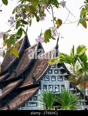 Mit antiker Stupa dahinter, in sanftem Fokus, die blühenden Zweige hervorhebt. Tempel im Hintergrund aus altem Teakholz im Lanna-Stil. Stockfoto