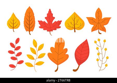 Set aus orangefarbenen Blättern Vektorkonzept Stock Vektor