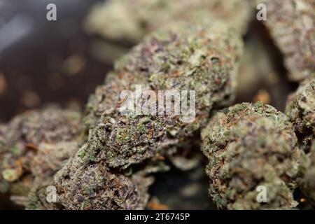 Cannabis Knospe Nahaufnahme medizinisches Gras Rauchen erstaunlich lila blühende Cali Verbotene Frucht Varietät Makro Hintergrund hohe Qualität Fokus Stapel fünfzig Mega Stockfoto