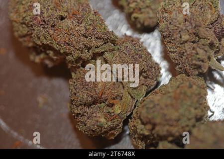 Cannabis Knospe Nahaufnahme medizinisches Gras Rauchen erstaunlich lila blühende Cali Verbotene Frucht Varietät Makro Hintergrund hohe Qualität Fokus Stapel fünfzig Mega Stockfoto