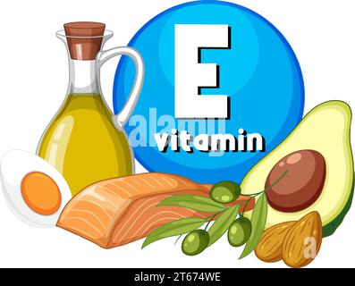 Eine Vektor-Cartoon-Illustration, die eine Vielzahl von Vitamin-E-reichen Lebensmitteln zeigt Stock Vektor