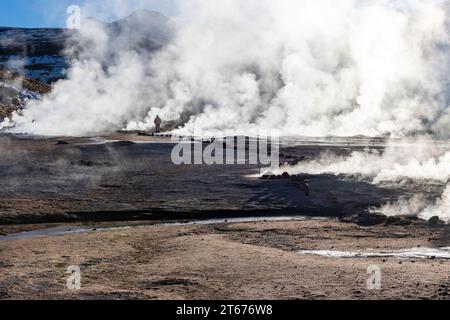 El Tatio Geysirfeld am frühen Morgen im Norden Chiles. Stockfoto