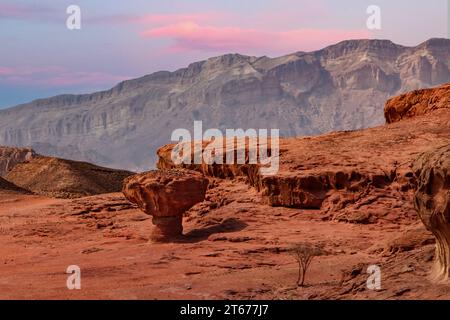 Steinpilz im Timna-Nationalpark, Israel Stockfoto