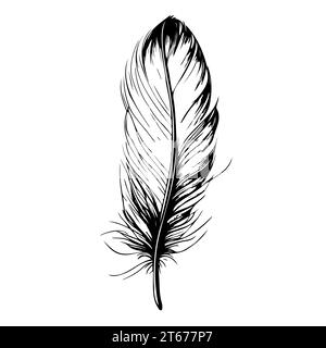 Dekorative Vogelfeder in schlichtem Stil. Handgezeichnete Vektorentwürfe skizzieren. Stock Vektor