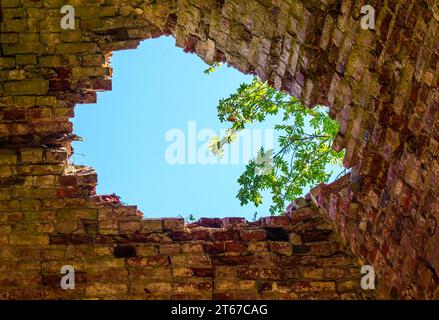 Durch den zerstörten gewölbten Tresor kann man den Himmel und einen grünen Lichtstrahl sehen. Attraktivität und ästhetischer Wert der Ruinen Stockfoto